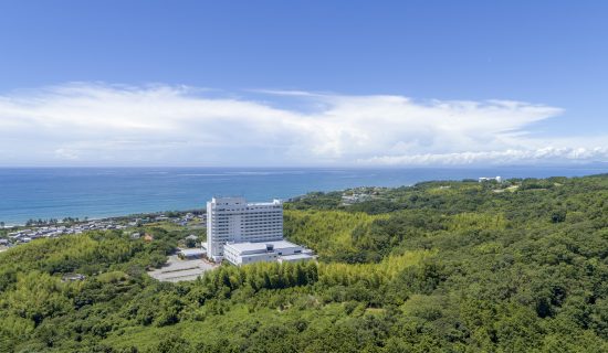 最高可打25%折扣! 期间限定特别优惠