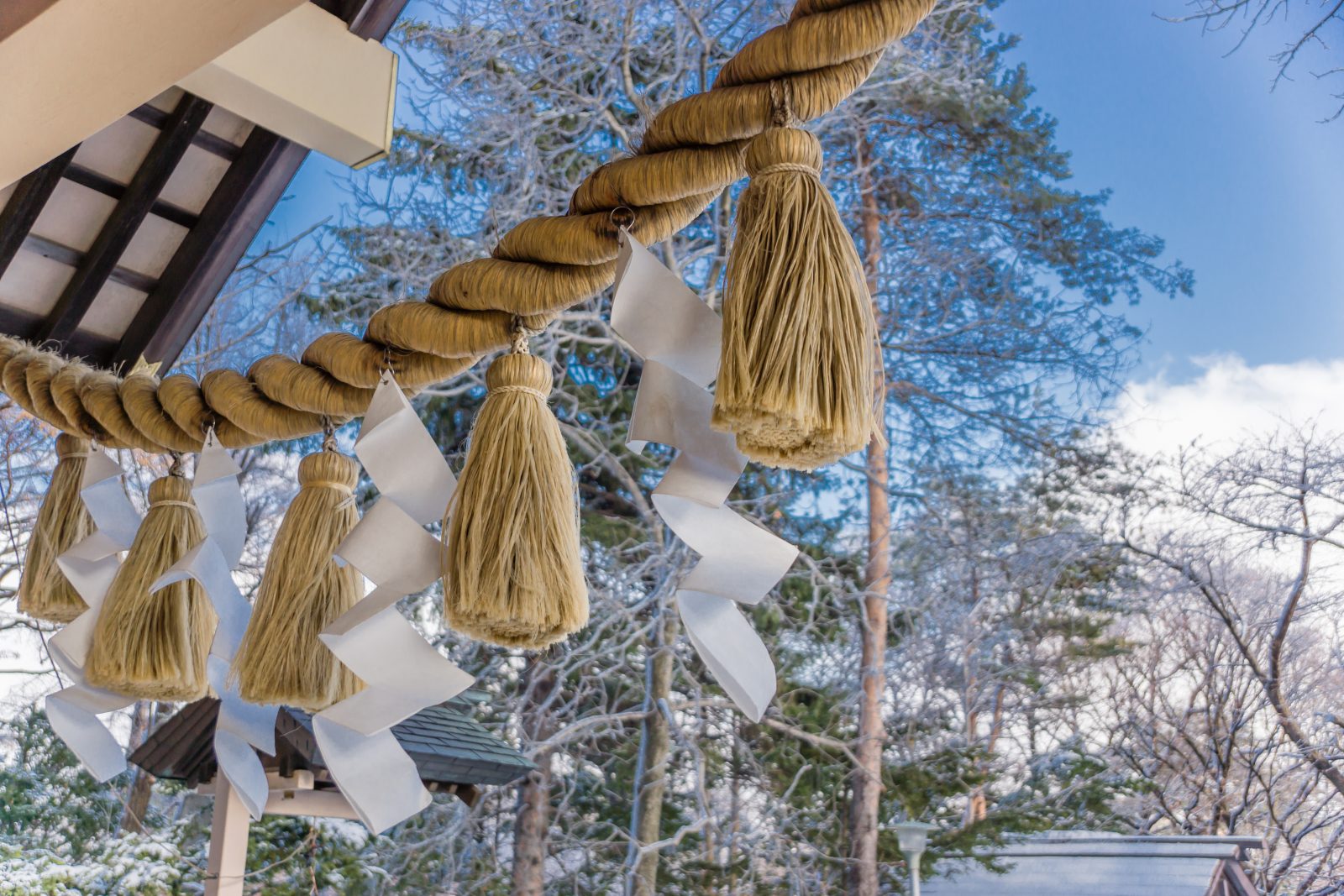 在高知土佐美居温泉度假酒店度过的新年