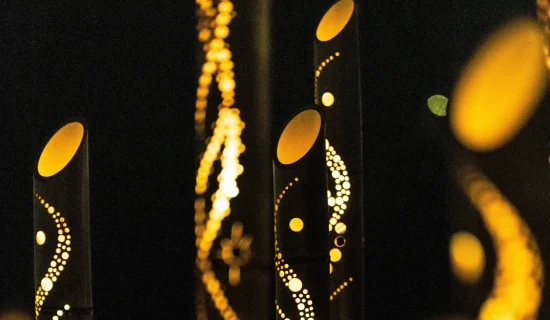 只有冬天的特别时间