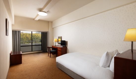 Privilege Room with 1 double bed, Mountain view