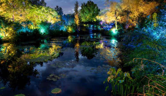 Night Canvas of Monet '모네의 정원' 나이트 캔버스