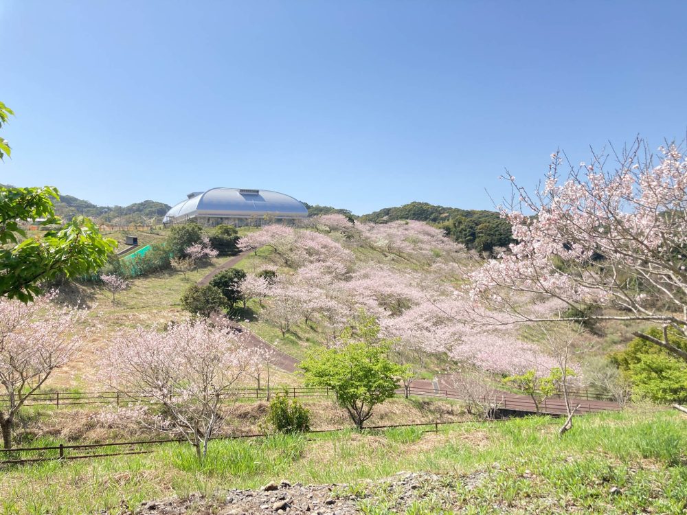 고치 현립 무로토 광역 공원 | 머큐어 코치 도사 리조트 & 스파