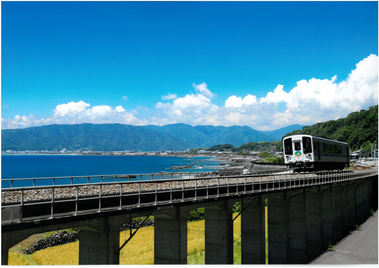 旅遊資訊和活動之首|高知土佐美居溫泉度假酒店