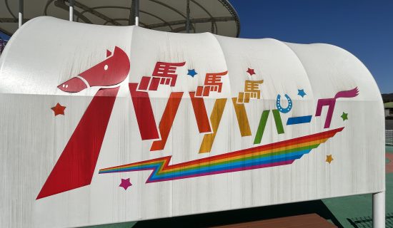 非常適合在戶外健康玩耍的孩子。巴巴巴公園!