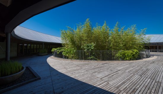 県立牧野植物園