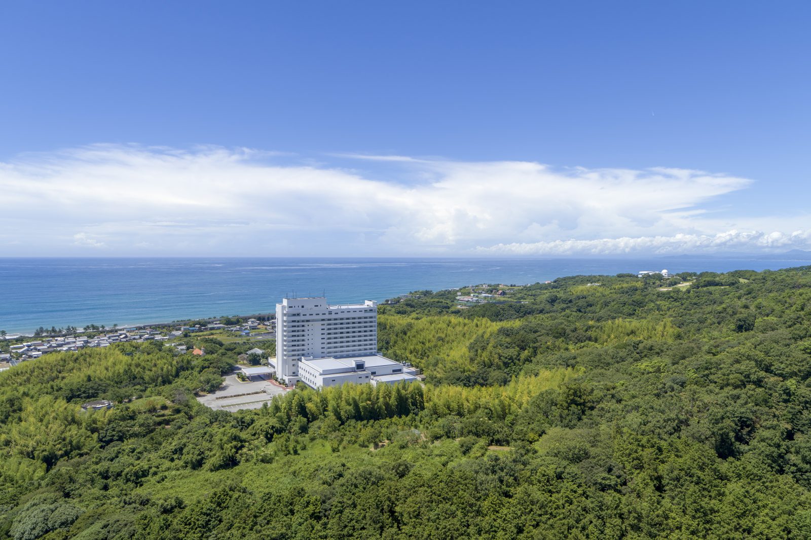 最大25％OFF！ 期間限定スペシャルオファー