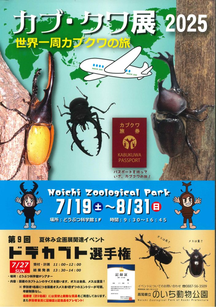 今年の夏は「世界一周カブクワの旅」!