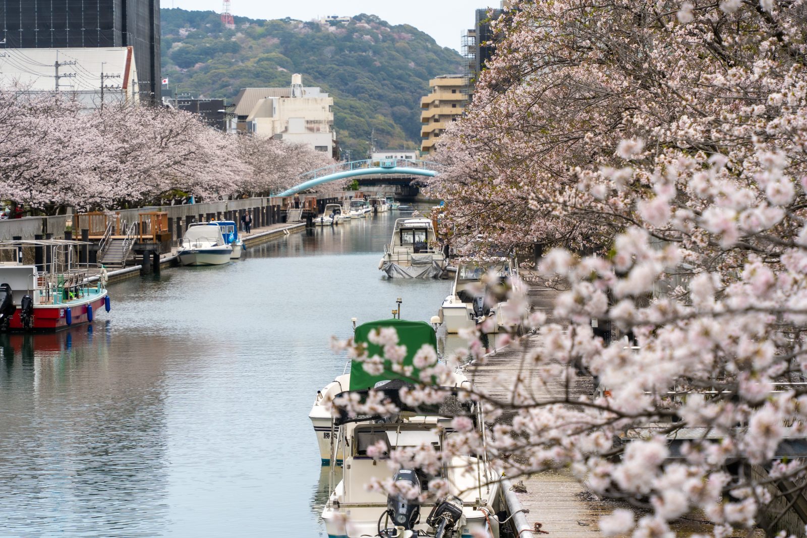 メインビジュアルイメージ｜メルキュール京都宮津リゾート＆スパ