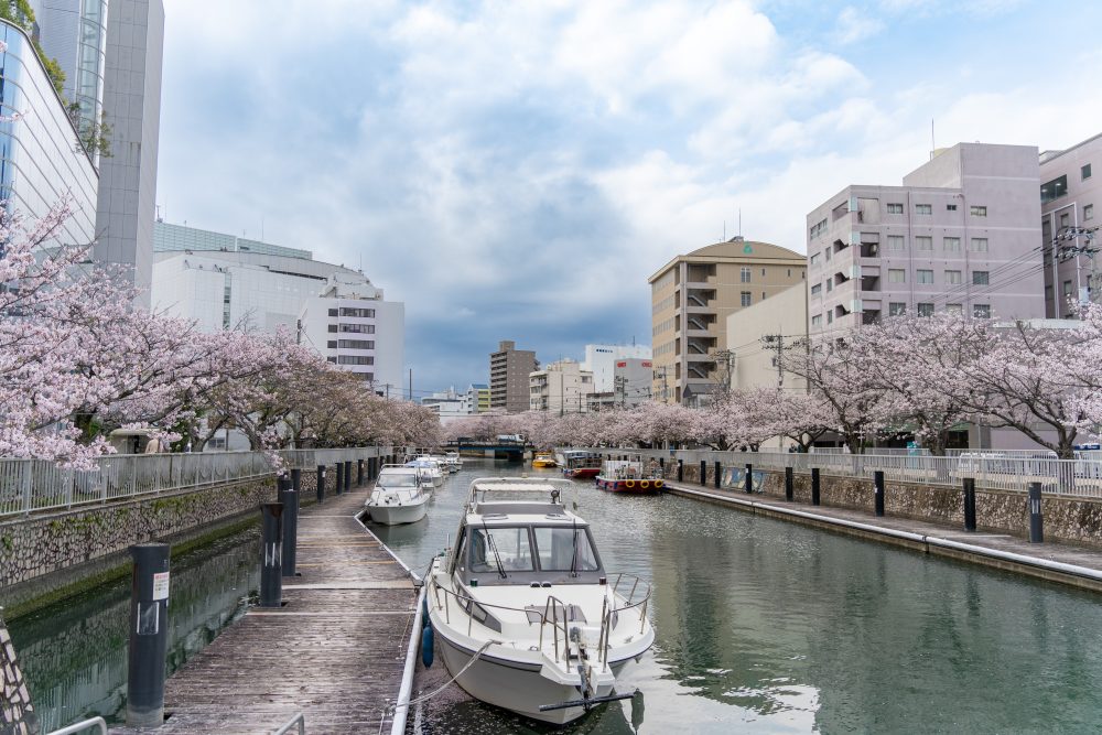 九反田堀川の桜｜メルキュール高知土佐リゾート＆スパ