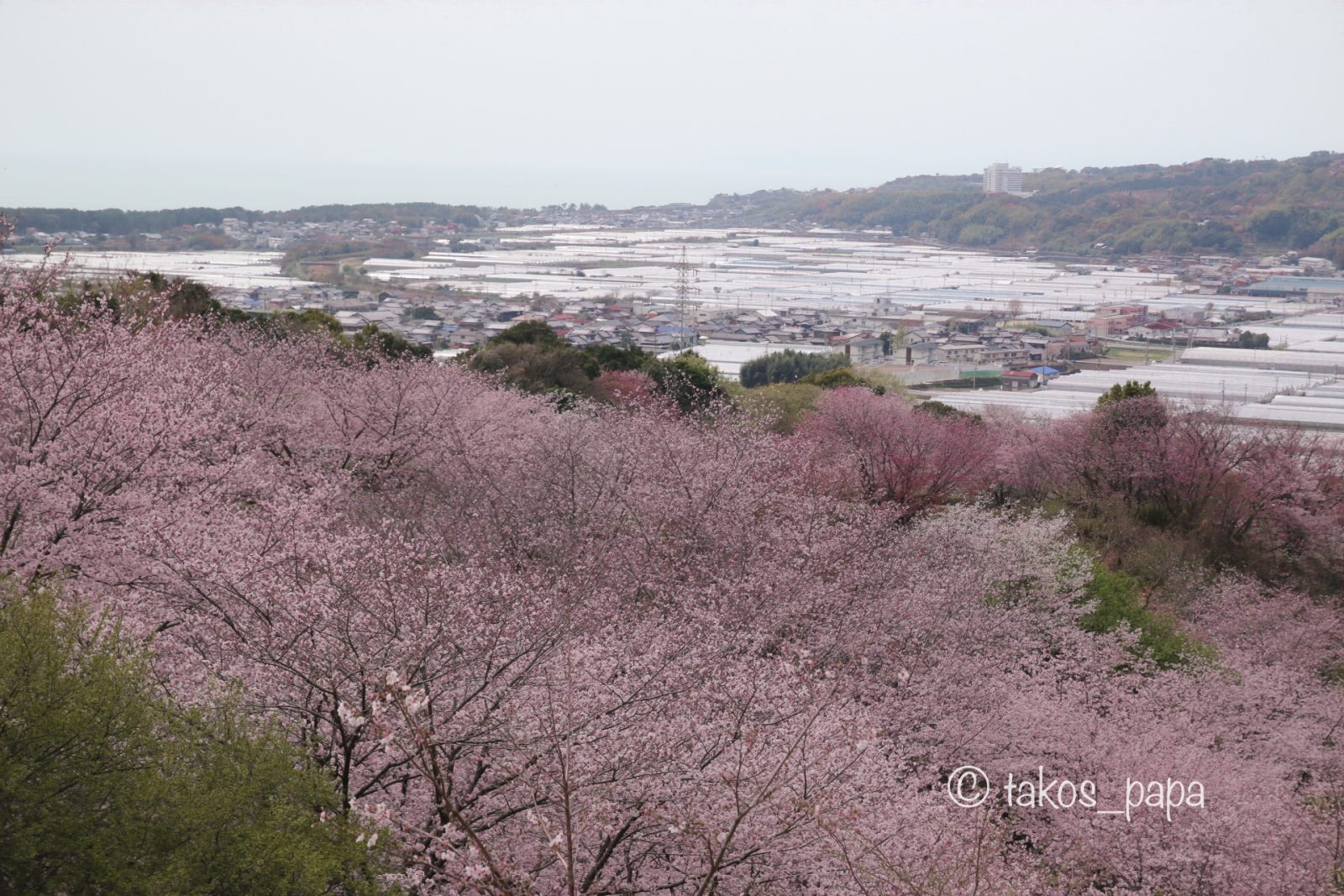 メインビジュアルイメージ｜メルキュール京都宮津リゾート＆スパ